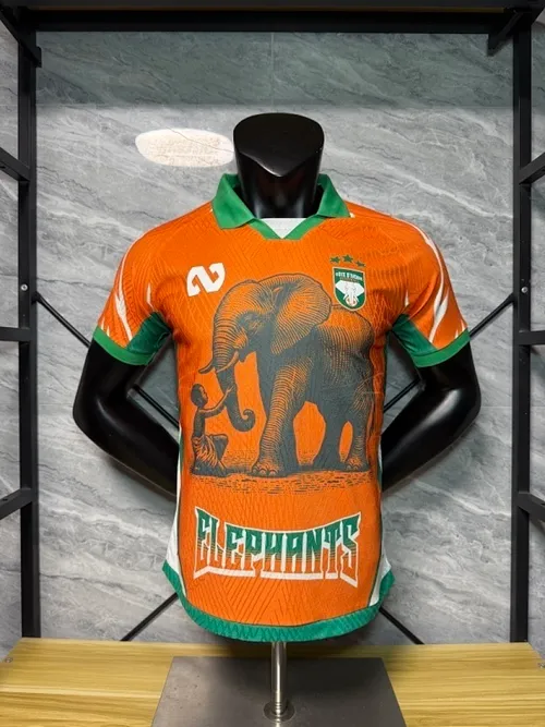 חולצת Ivory Coast