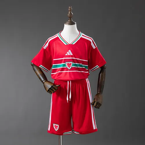 חולצת Wales